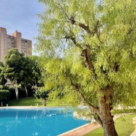 Apartamento Sol Y Playa Coblanca 21 Apartman Benidorm Kültér fotó